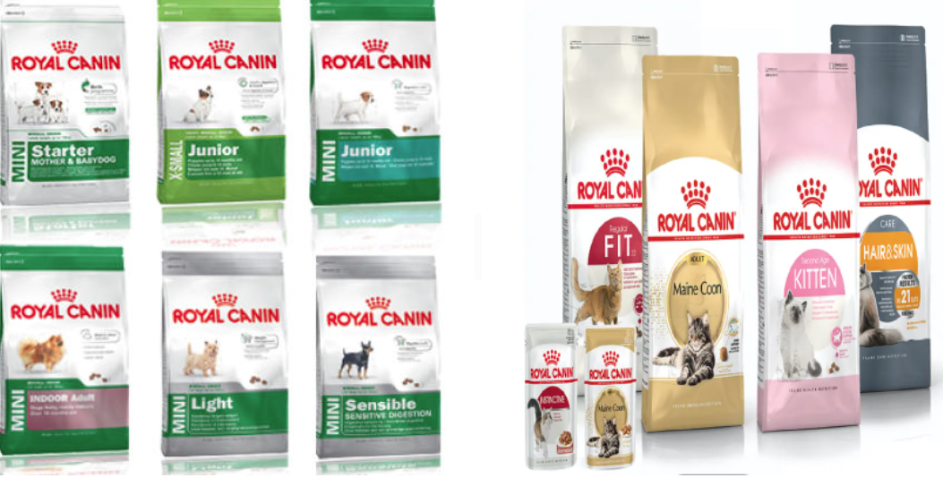 강아지 사료 추천 완벽 가이드 (가성비, 프리미엄, 건강식)