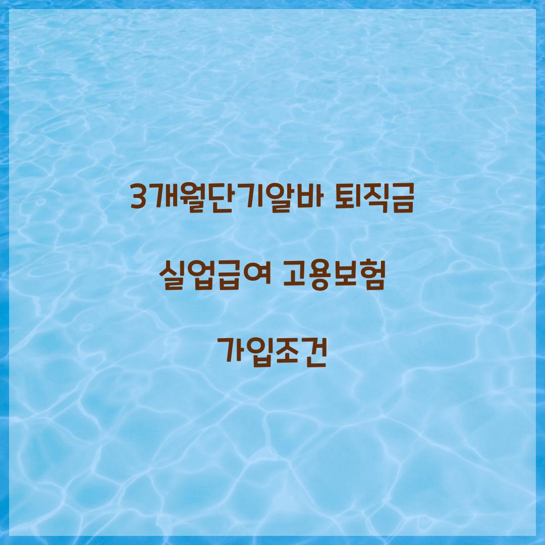 3개월단기알바