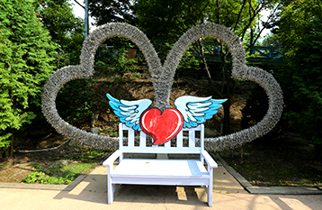 청도 프로방스 빛축제ㅣ물놀이장ㅣ동물체험ㅣ입장료ㅣ반려동물 정보