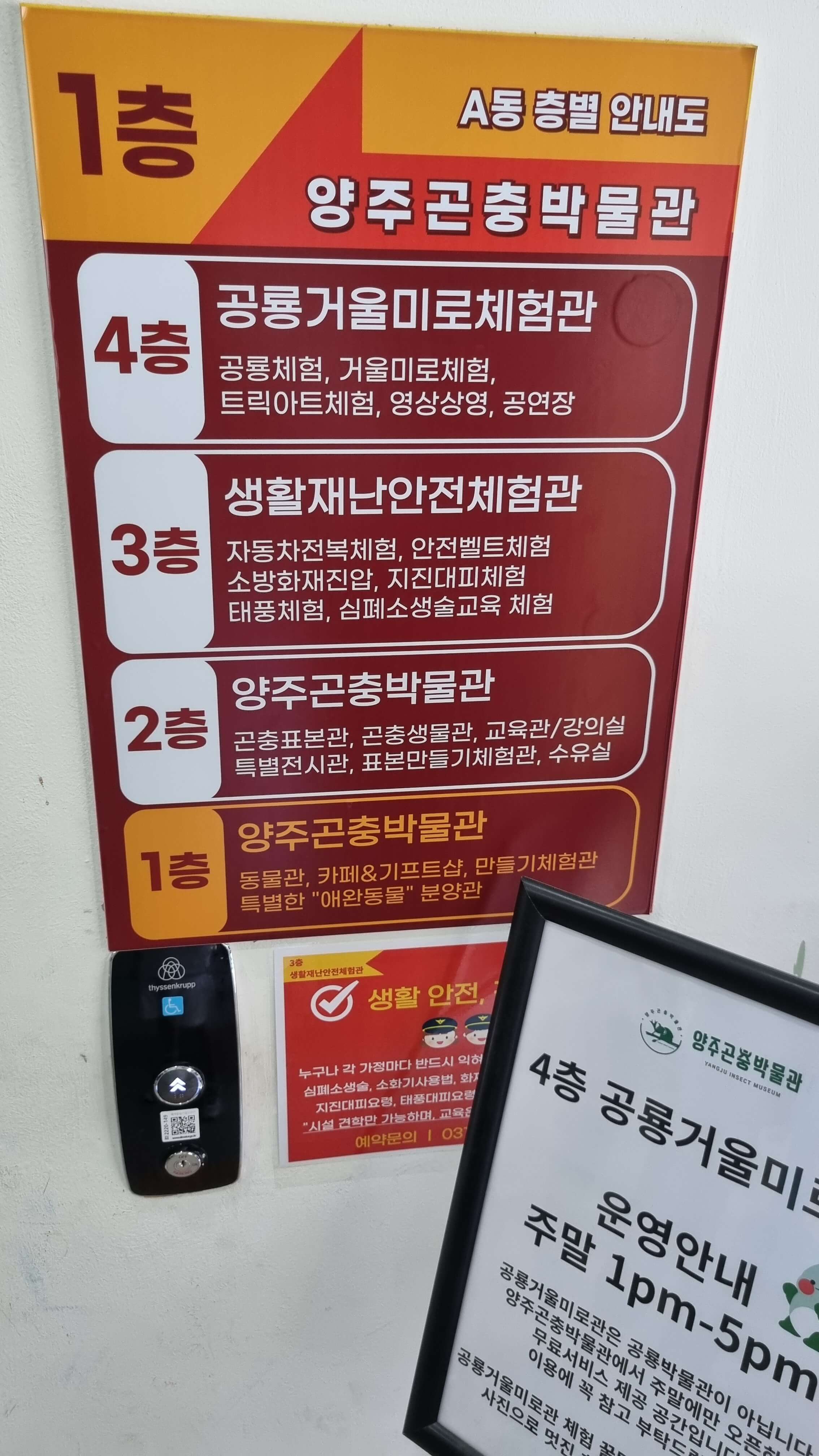 양주곤충박물관-사진