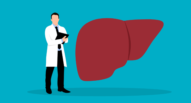 간 건강