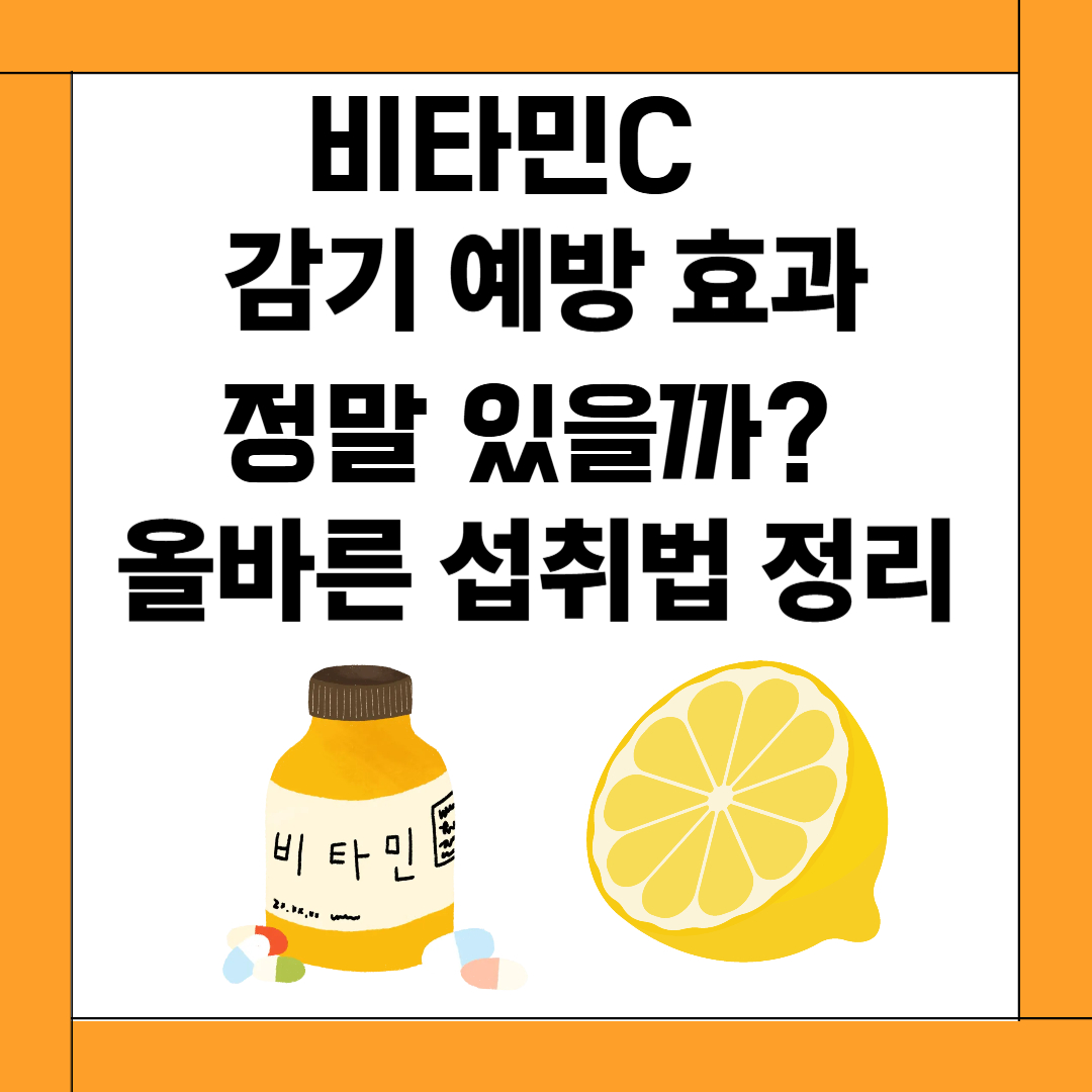 비타민C 감기 예방 효과, 정말 있을까? 올바른 섭취법 정리