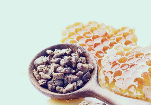 프로폴리스 효능