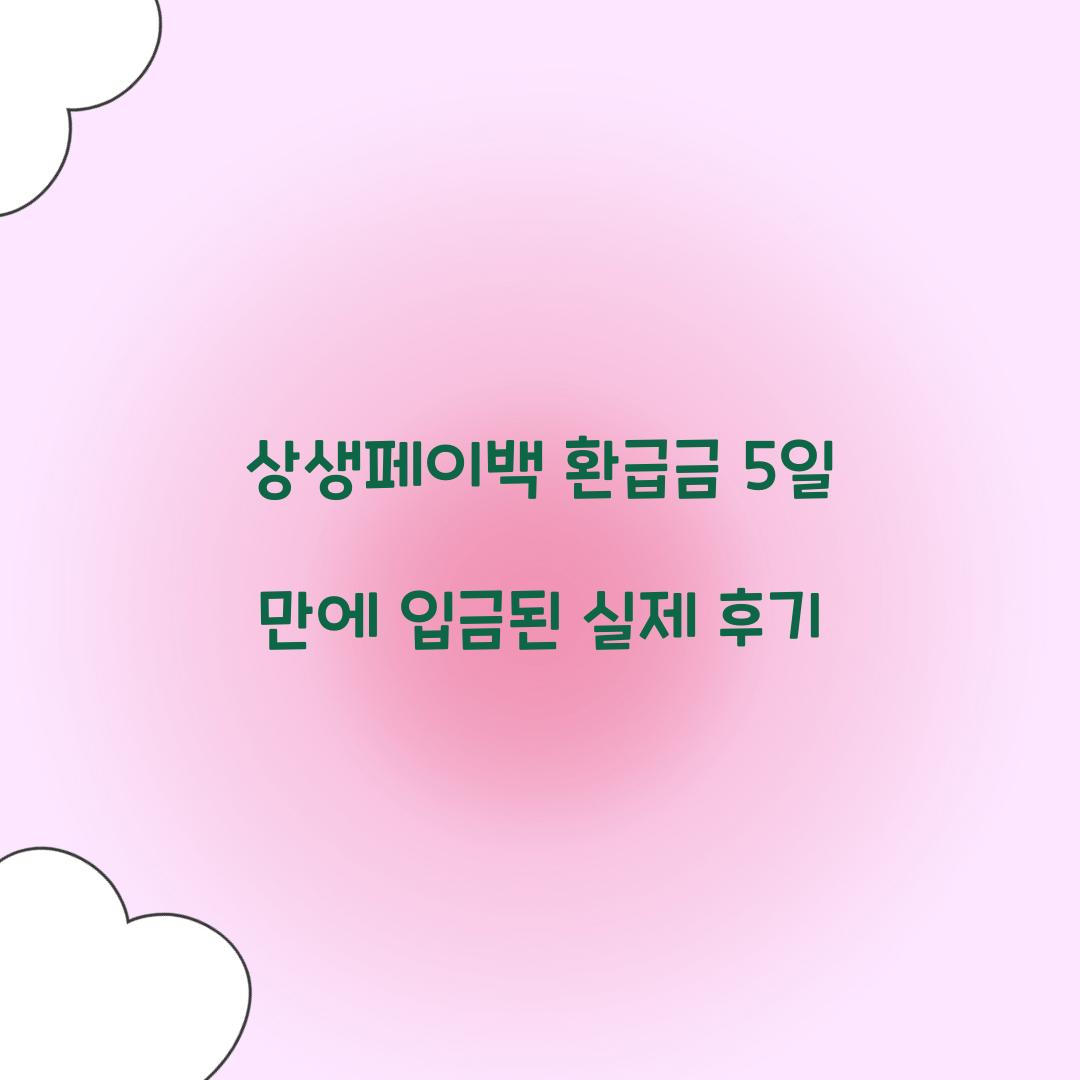 상생페이백 환급금 5일 만에 입금된 실제 후기