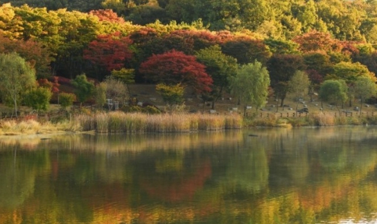 인천/명품/단풍/명소