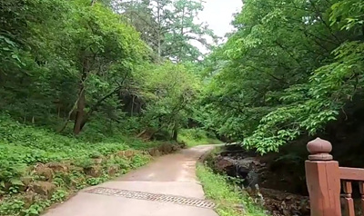 진입로 사진