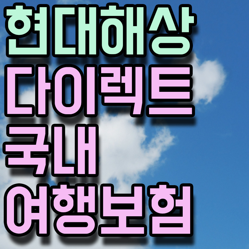 현대해상 다이렉트 국내여행보험 썸네일 이미지