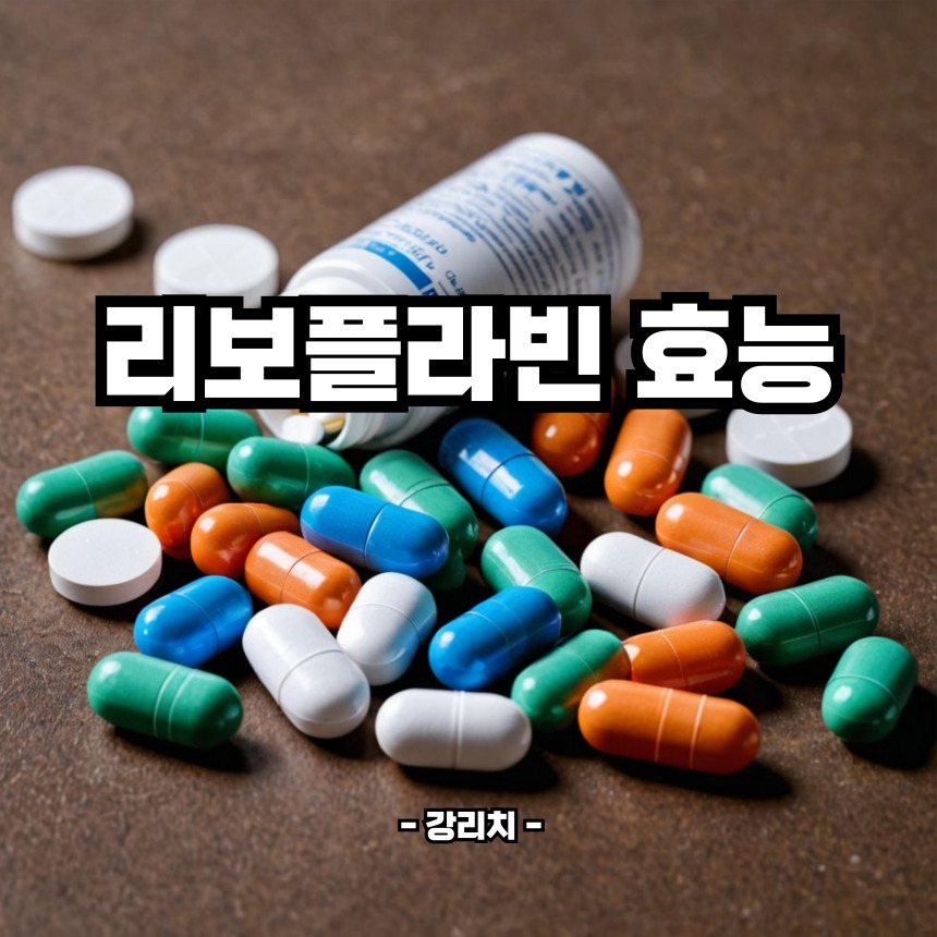 리보플라빈 효능