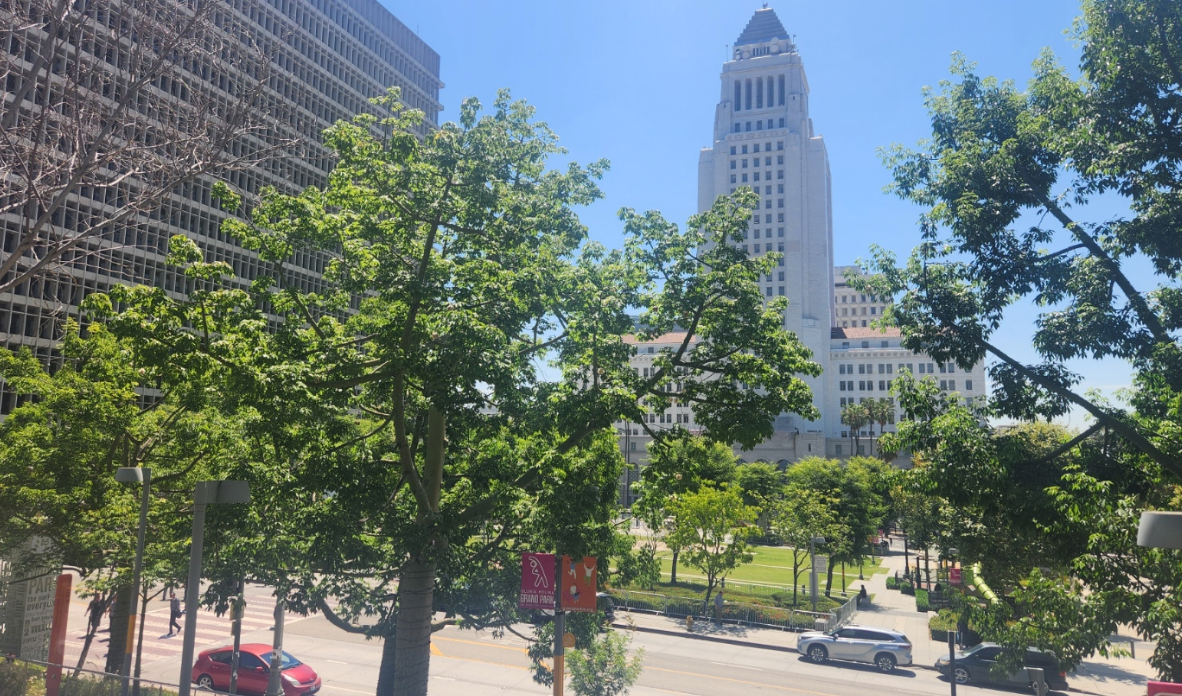 City Hall을 나무 사이로 바라본 장면 이미지