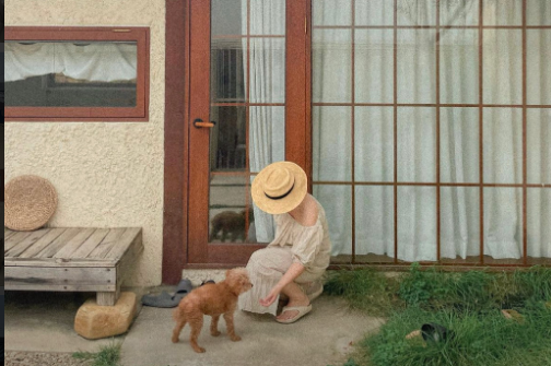 게스트하우스 관련 사진