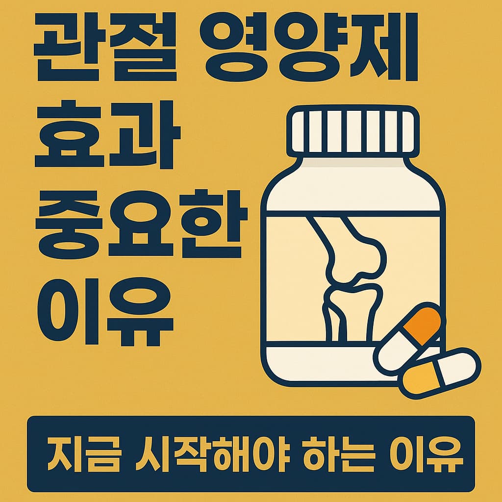 관절영양제 효과