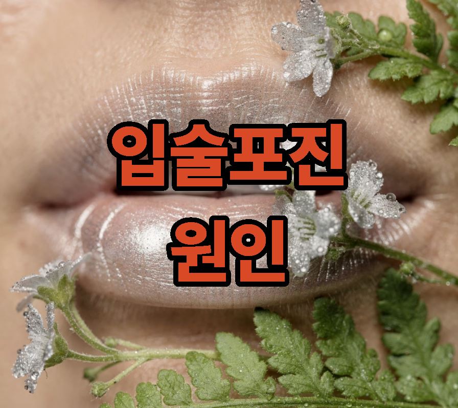 입술 포진 원인