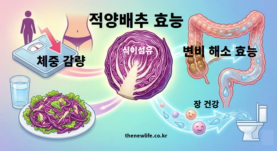 적양배추 효능을 주제로 식이섬유가 체중 감량과 변비 해소, 장 건강에 미치는 긍정적인 영향을 시각화한 일러스트