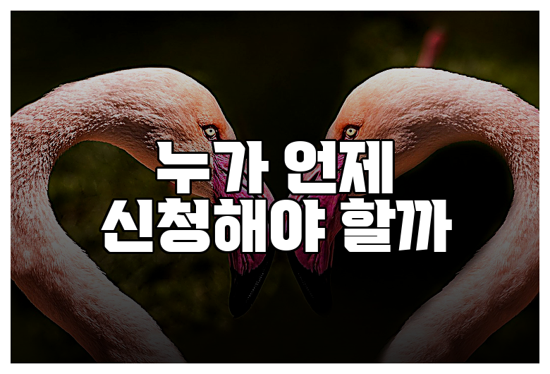 누가 언제 신청해야 할까