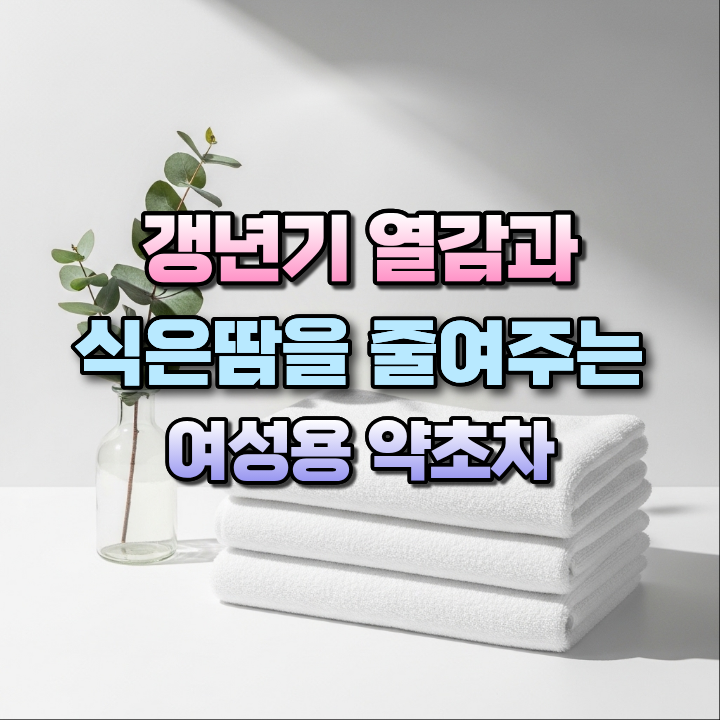 갱년기열감과식은땀을줄여주는여성용약초차
