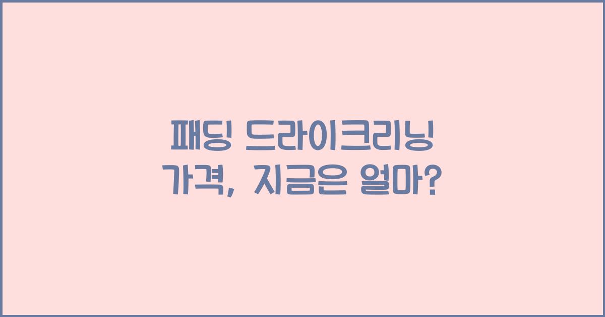패딩 드라이크리닝 가격