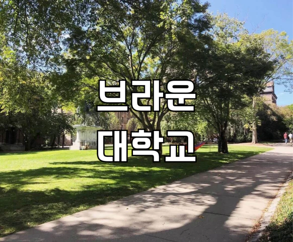 브라운/대학교