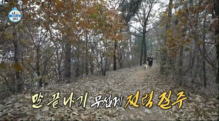 나혼자산다 5025회 이창섭편 강아지와 산책