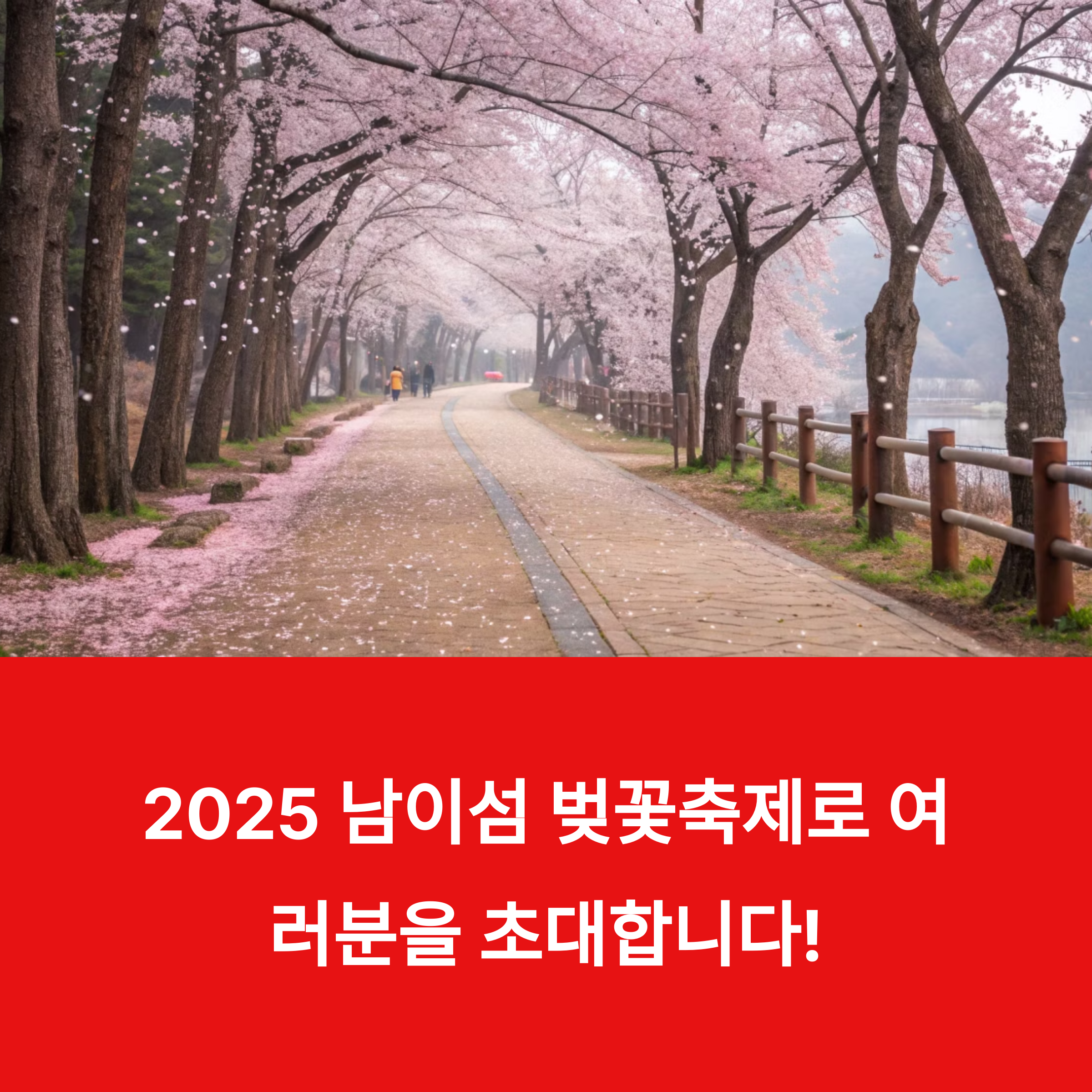 남이섬은 지금이 딱