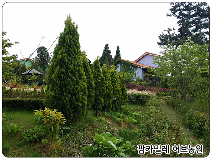 팜카밀레 허브농장, 펜션