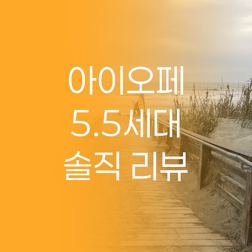 아이오페 에어쿠션 5.5세대, 내 피