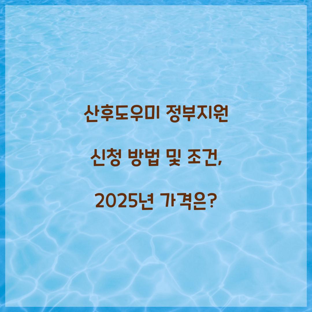 산후도우미 정부지원