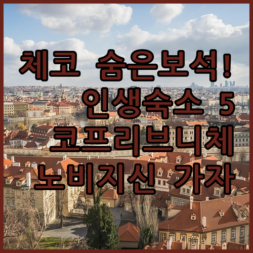 프라하 말고 여기 체코 여행 숨은 보..