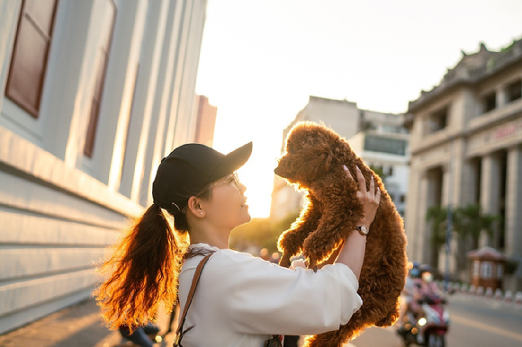 반려견을 안고 집 엘리베이터를 탔다가 이웃에게 내리라는 이야기를 들었다는 한 견주의 사연이 전해졌다. 본 기사와 무관한 이미지. [사진=픽사베이]