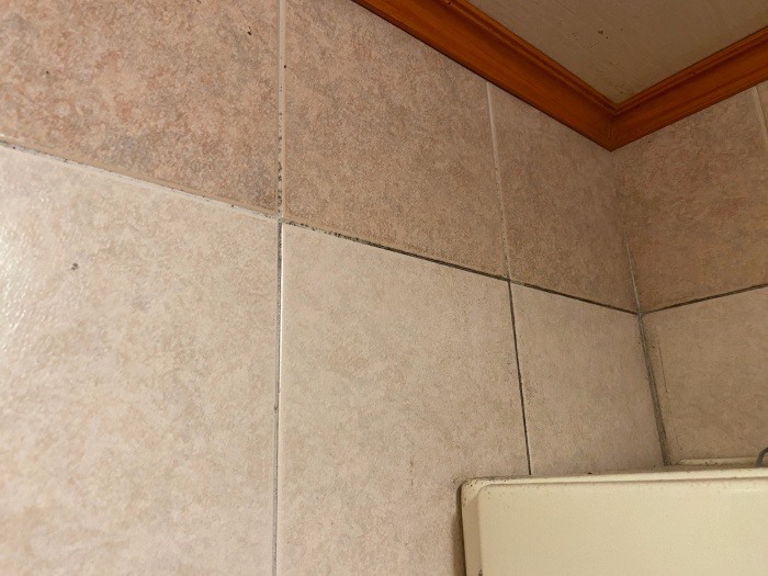 화장실 곰팡이1