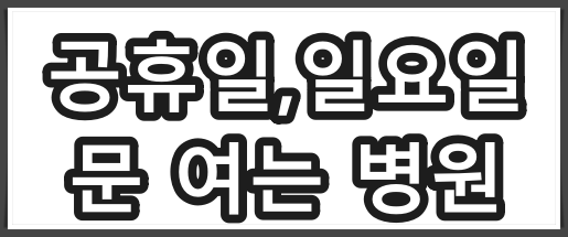 휴일 진료 병원