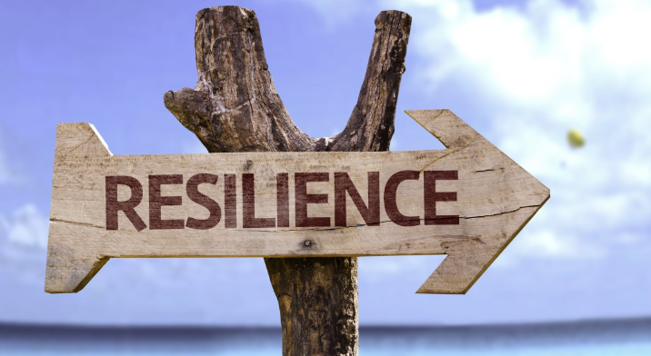 RESILIENCE 사진