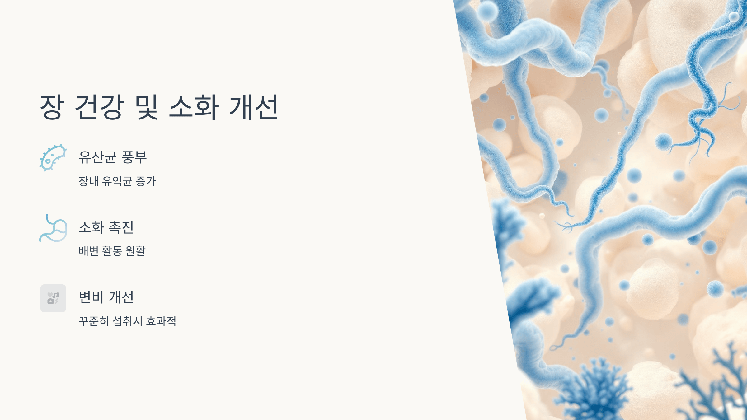 그릭요거트 사진입니다.