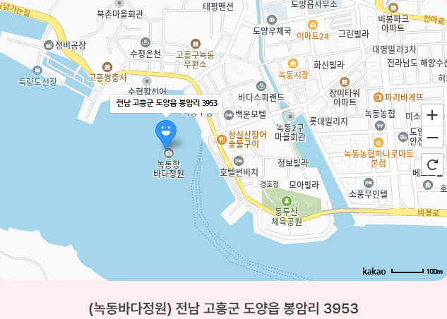고흥 녹동항 드론쇼