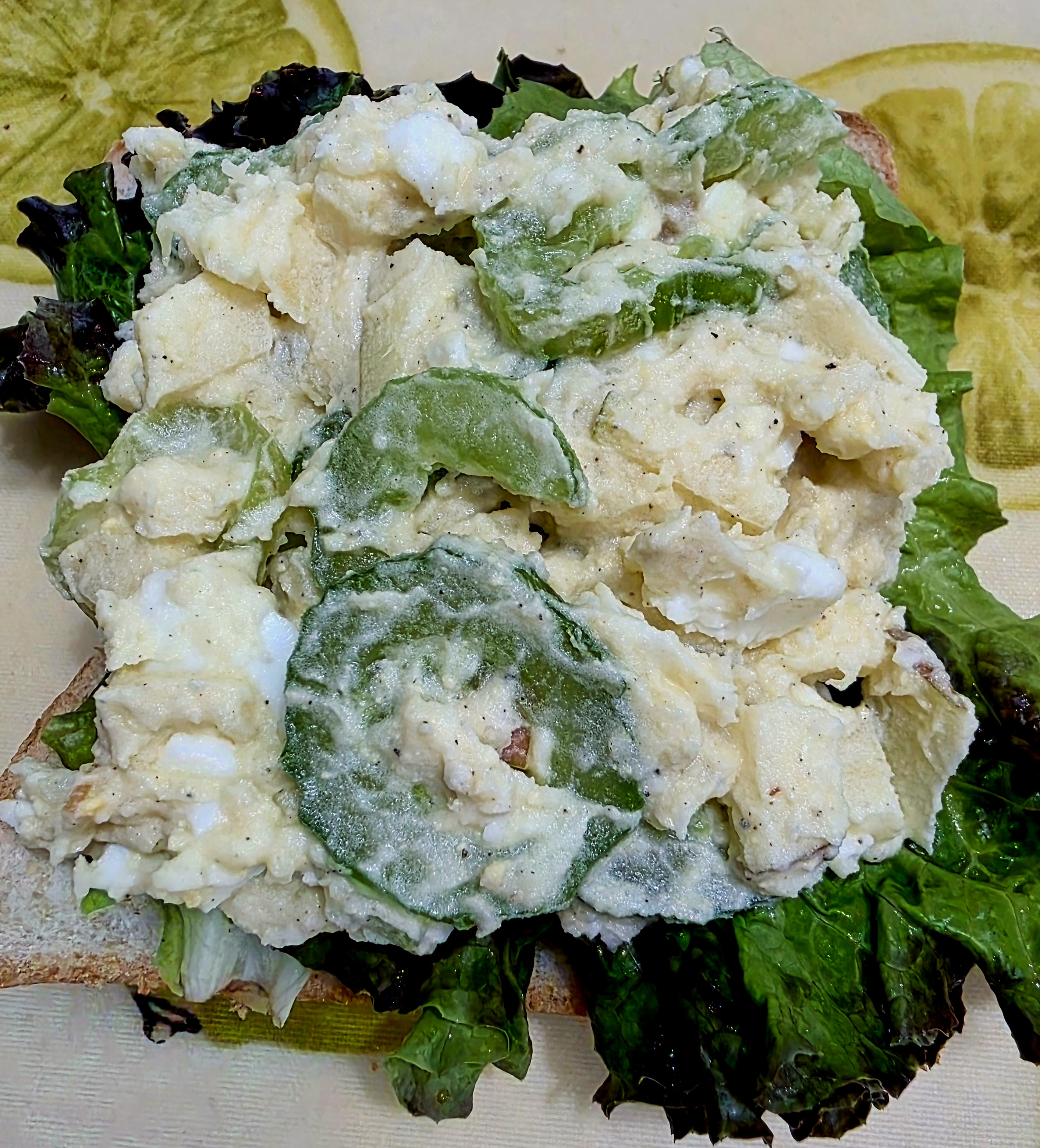 상추도-사용했어요.