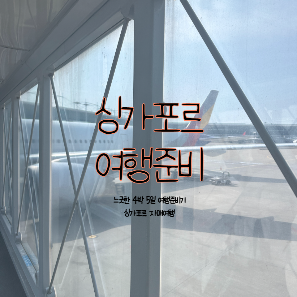 싱가포르 여행 준비하기(준비물 그리고 여행팁)