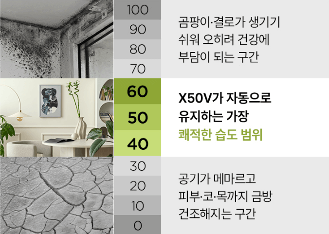 케어팟 가습기