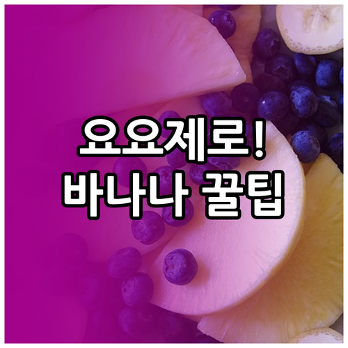 요요 없는 바나나 다이어트 식단과 하..