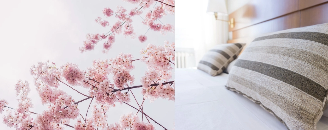 진해 군항제 숙소