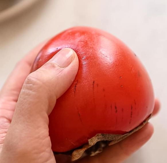 홍시-연시-차이점