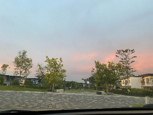 스마트폰에 뺏긴 집중력, '5분 하늘 보기'로 되찾는 방법