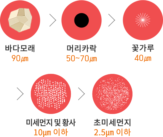 미세먼지의 종류
