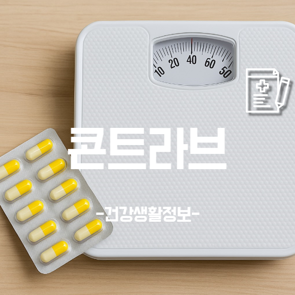 콘트라브와 체중감량 성공전략