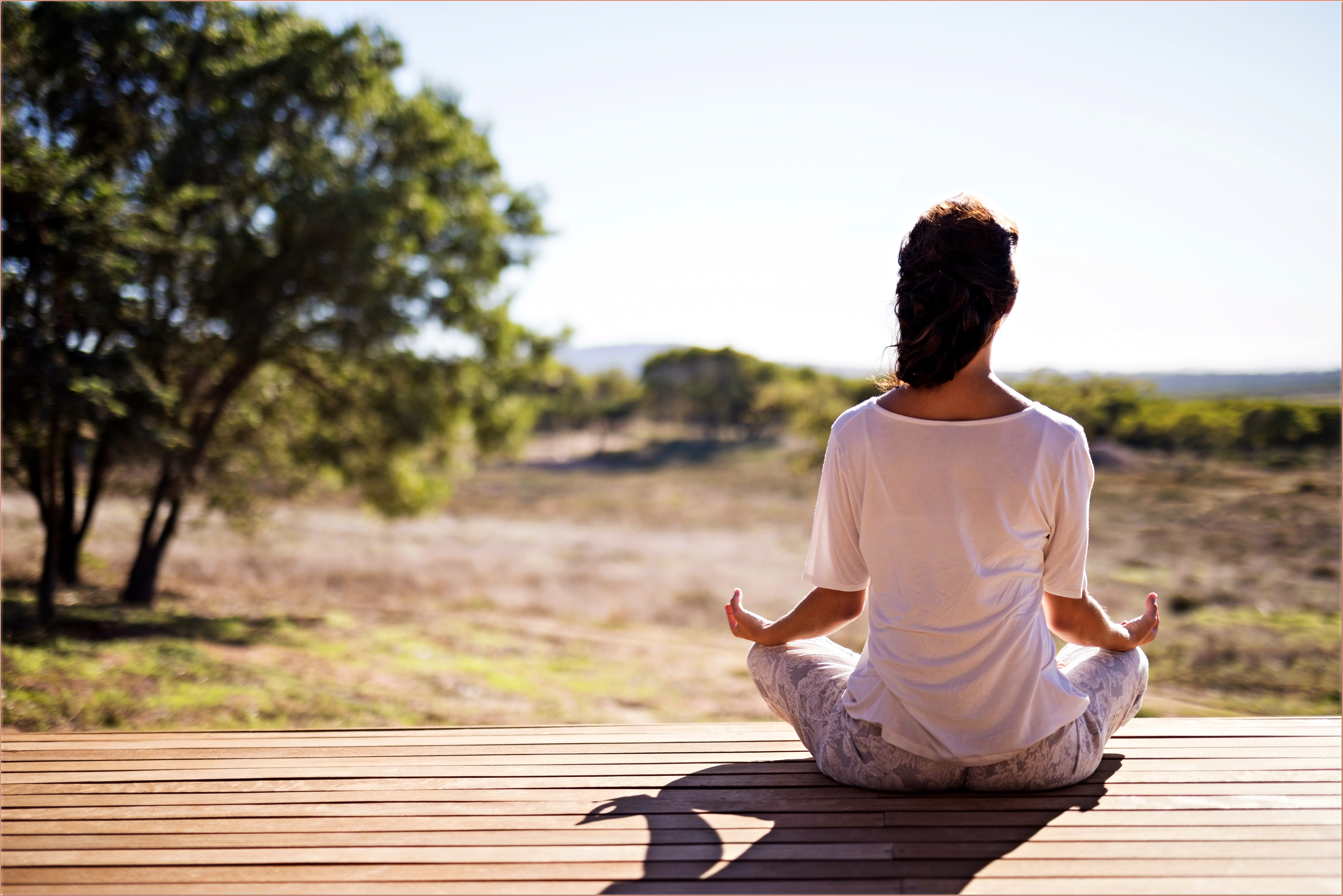 신진대사 높이는 것