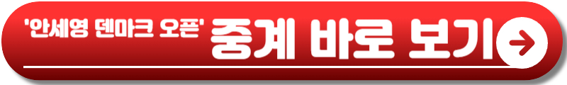 배드민턴 덴마크 오픈