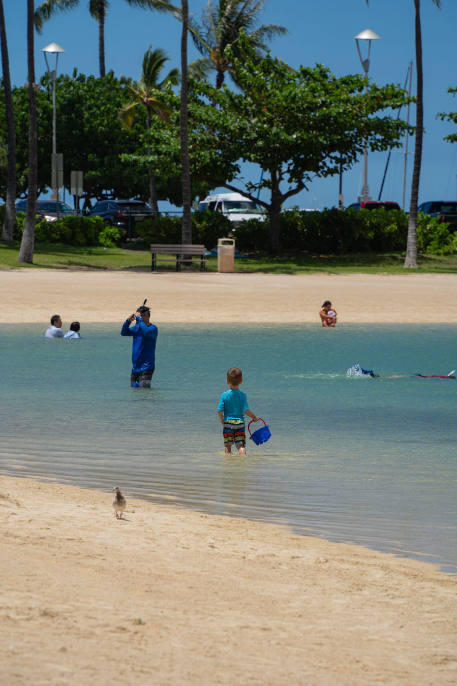 하와이 힐튼 호텔 라군 분위기