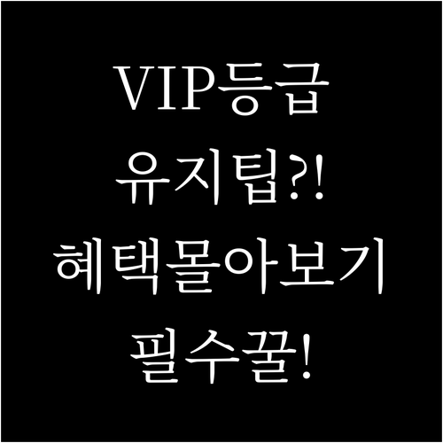 유플러스VIP등급유지와혜택누리는팁모음..