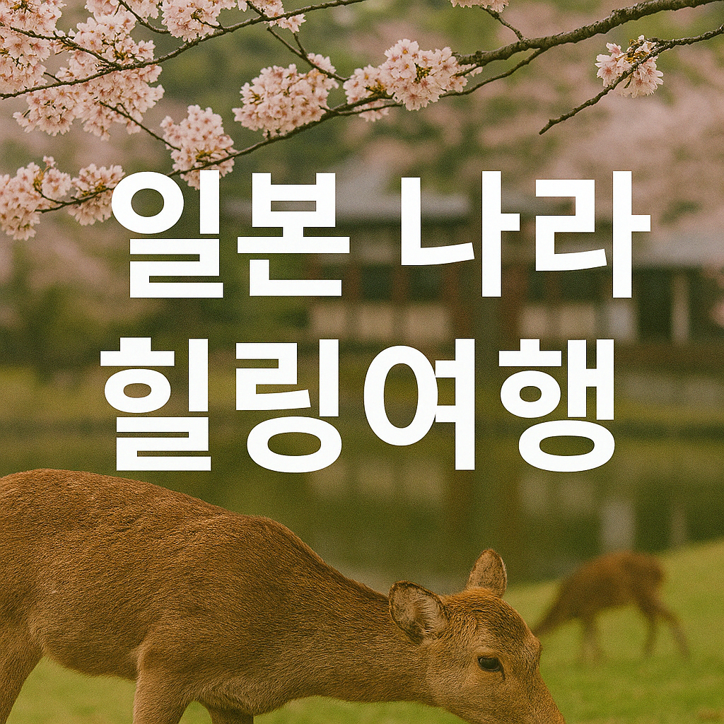 일본 나라 힐링 여행 완벽 가이드입니다.
