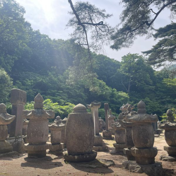 대흥사