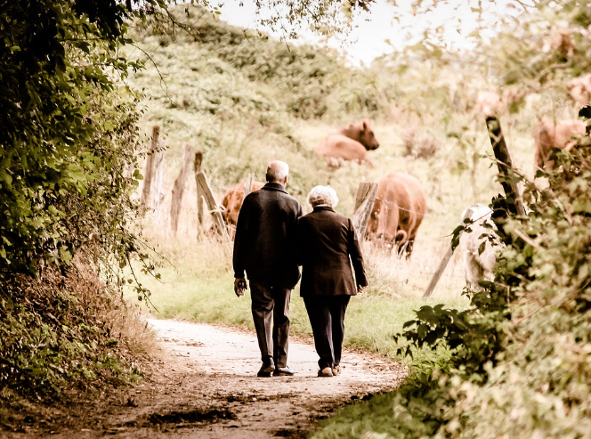 은퇴한 부부의 뒷모습