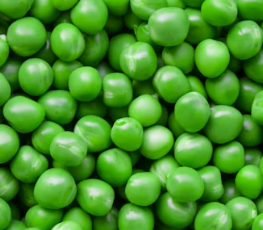 알부민 많은 음식